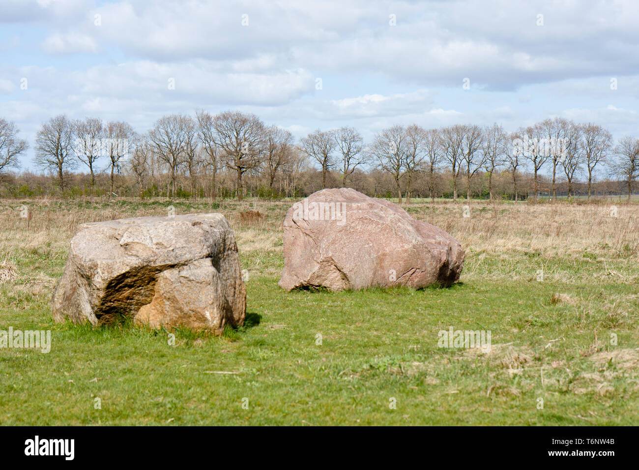 Pietre megalitiche nei Paesi Bassi Foto Stock