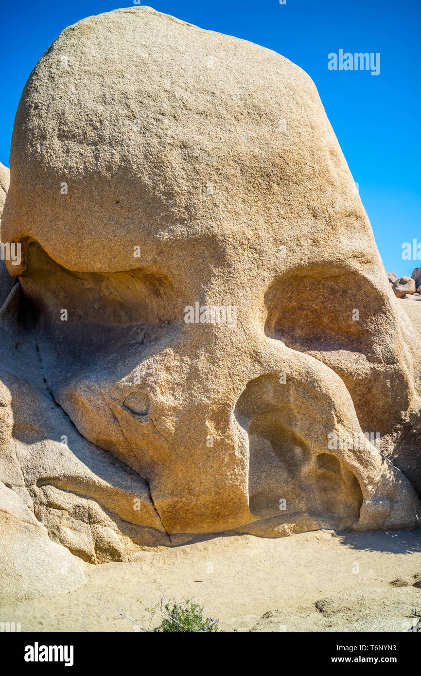 Un teschio Rock a Joshua Tree National Park, California Foto Stock