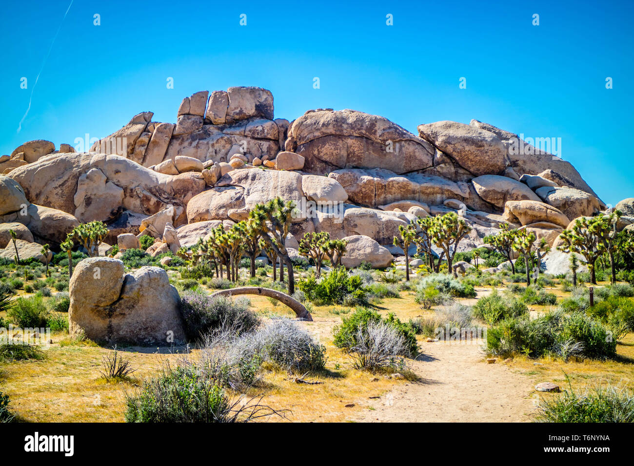 Bilanciamento di rocce nel deserto a Joshua National Park, California Foto Stock