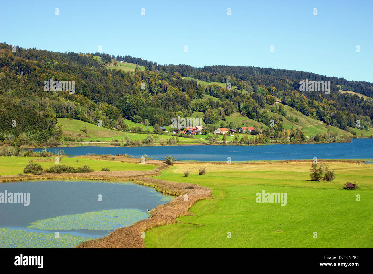 Il lago Alpsee 004. Germania Foto Stock