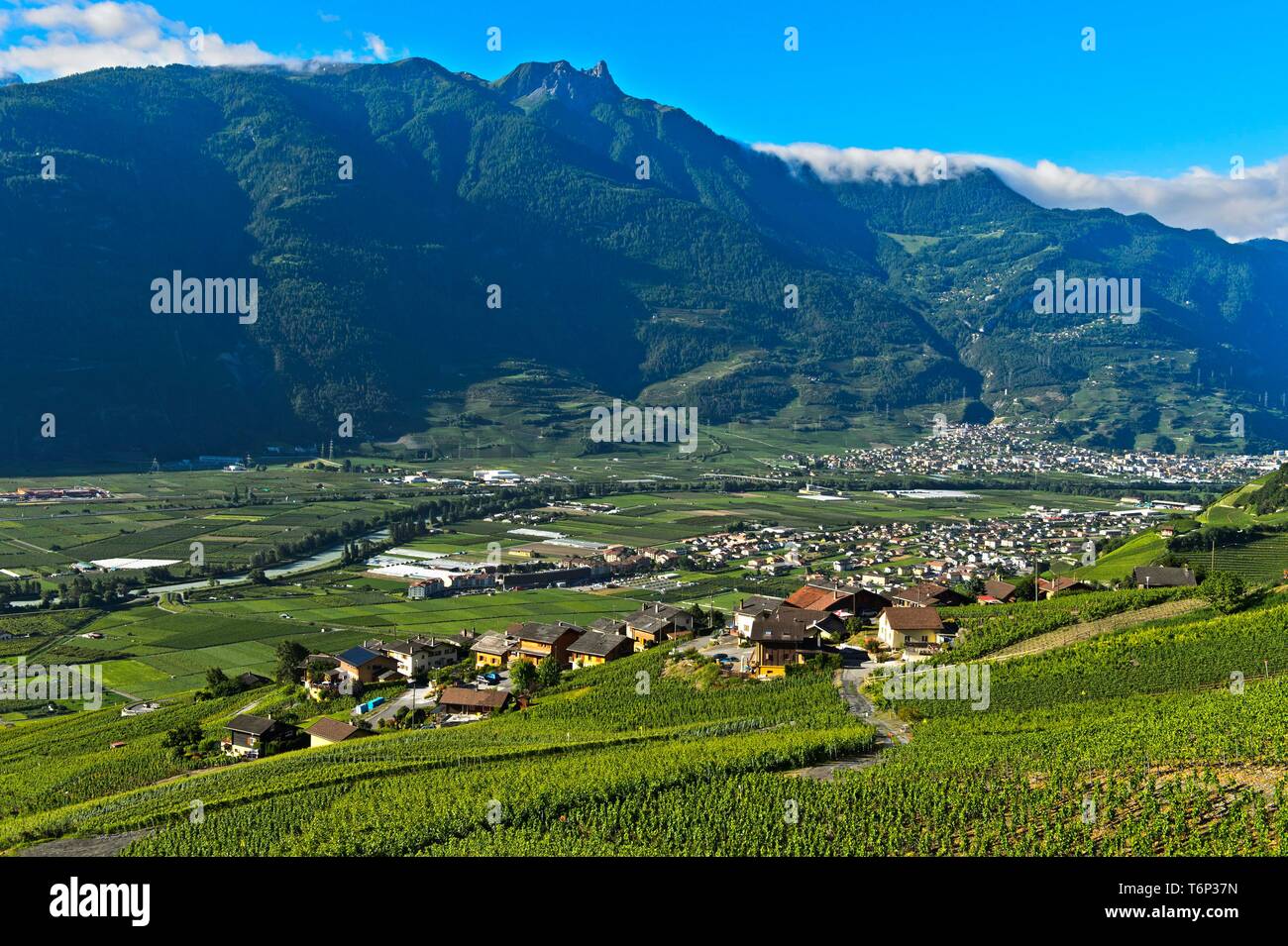 Abbassare la valle del Rodano con vigneti, villaggio sassone e Pierre Avoi picco di montagna, Ovronnaz, Vallese, Svizzera Foto Stock