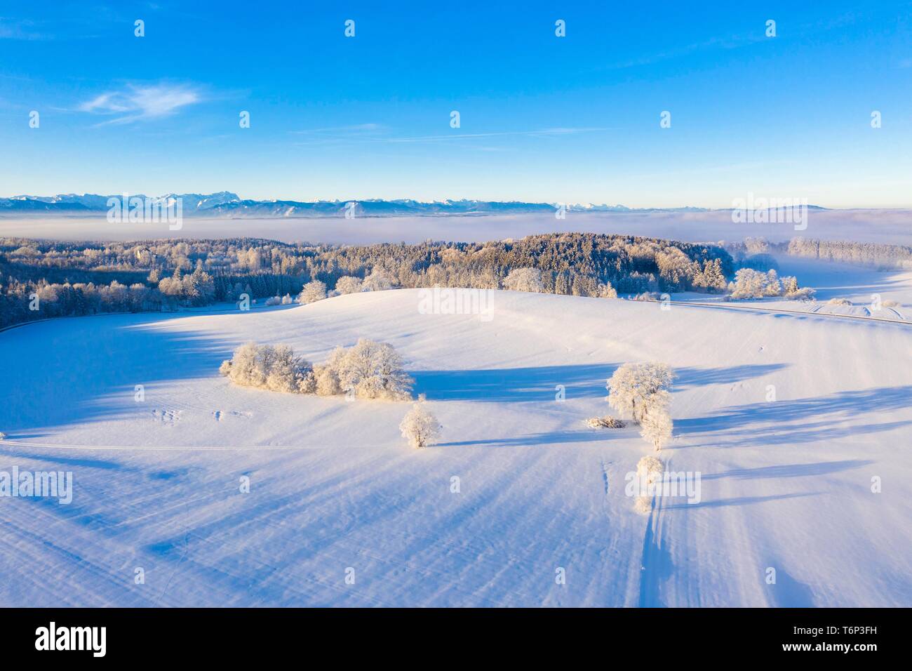 Paesaggio invernale, area forestale con catena alpina, vicino Munsing, Funfseenland, drone shot, prealpi, Alta Baviera, Baviera, Germania Foto Stock