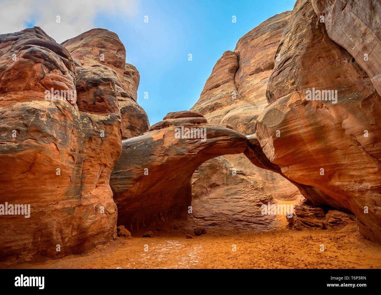 Arco di roccia, Dune di sabbia Arch, Arches National Park, vicino a Moab, Utah, Stati Uniti d'America Foto Stock