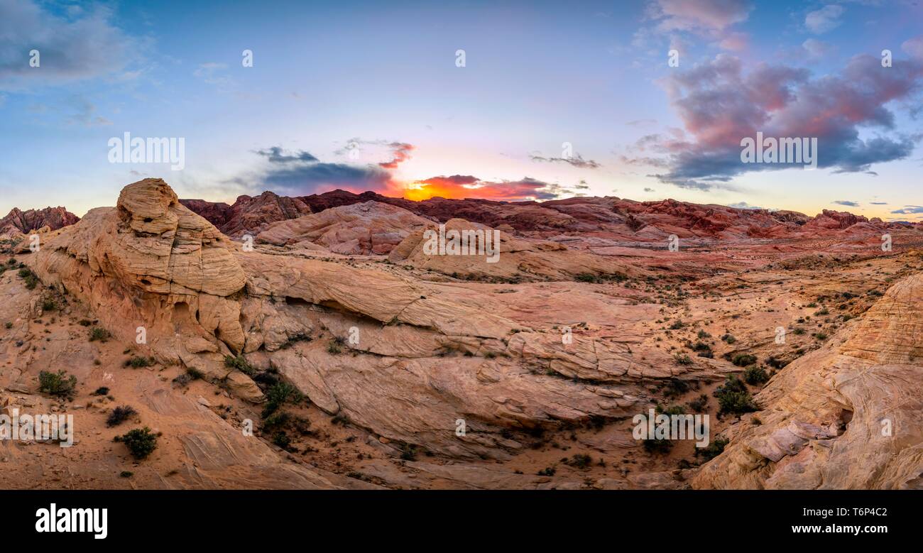 Tramonto dietro rosse rocce di arenaria, la Valle del Fuoco del Parco Statale di Deserto Mojave, Nevada, STATI UNITI D'AMERICA Foto Stock