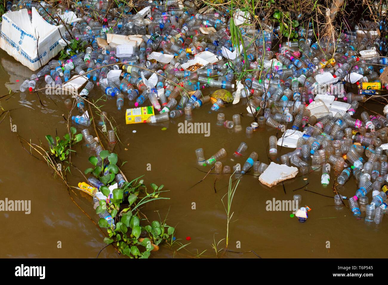 Le bottiglie di plastica, immondizia di plastica sulla riva del fiume, inquinamento, Phnom Penh Cambogia Foto Stock