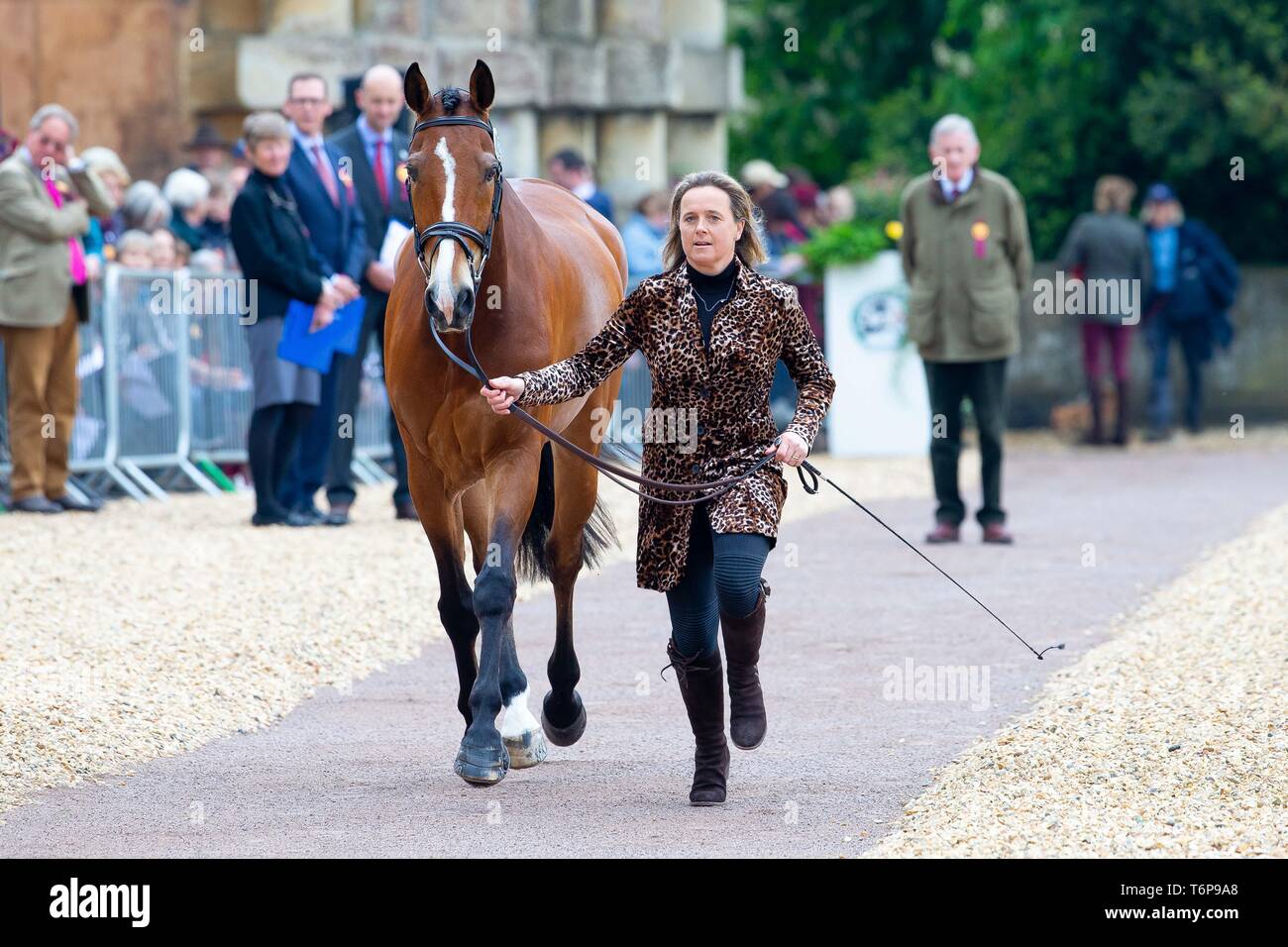 Badminton, Gloucestershire, UK. 02Maggio, 2019. Pippa Funnell. GBR. Billy a piedi. Di trotto. Mitsubishi Motors Badminton Horse Trials. Rolex Grand Slam evento. Horse Trials. Eventing. Badminton. Gloucestershire. Regno Unito. GBR. {01}/{05}/{2019}. Credito: Sport In immagini/Alamy Live News Foto Stock