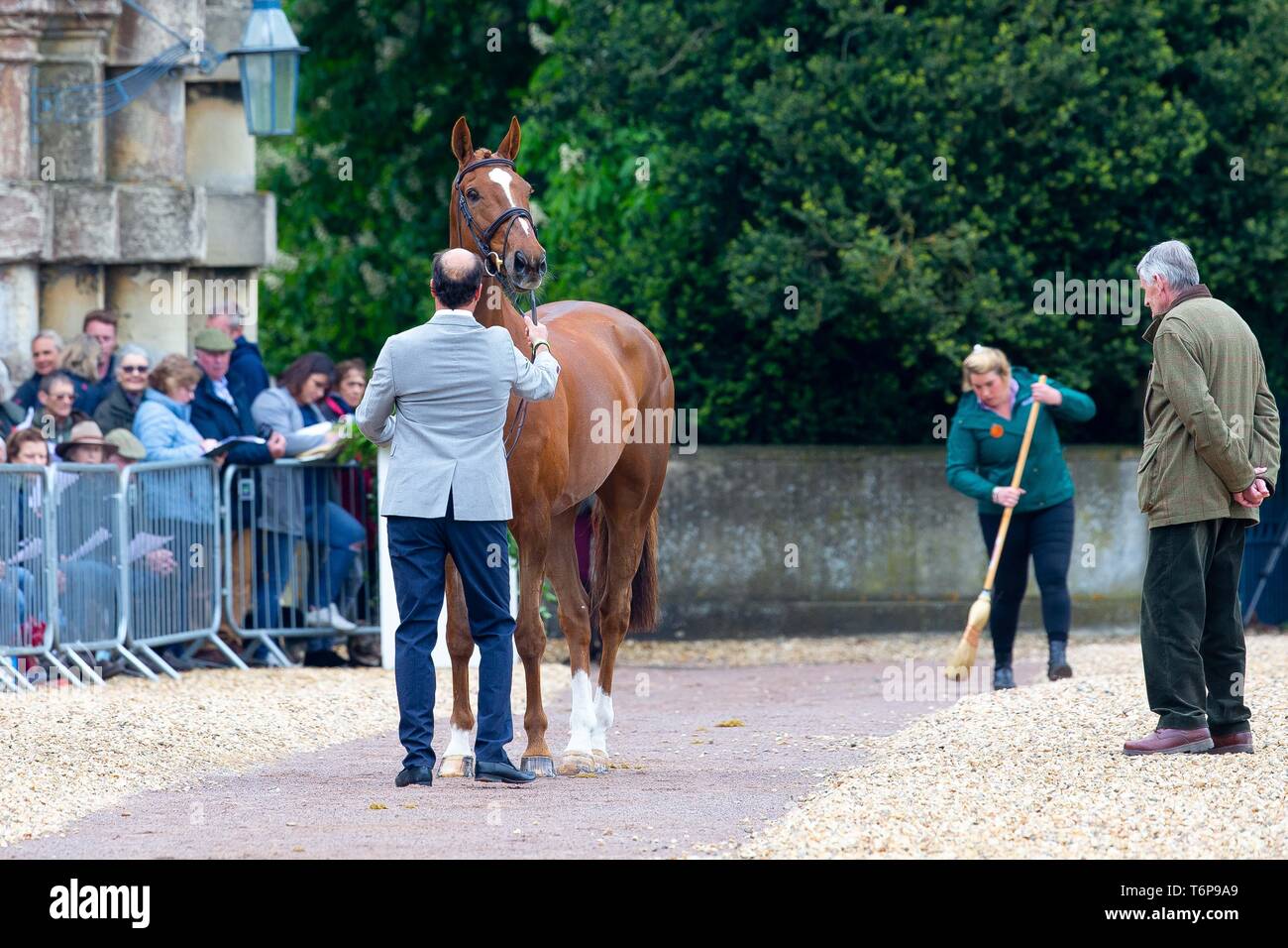 Badminton, Gloucestershire, UK. 02Maggio, 2019. Tim prezzo. NZL. Bango. Di trotto. Mitsubishi Motors Badminton Horse Trials. Rolex Grand Slam evento. Horse Trials. Eventing. Badminton. Gloucestershire. Regno Unito. GBR. {01}/{05}/{2019}. Credito: Sport In immagini/Alamy Live News Foto Stock