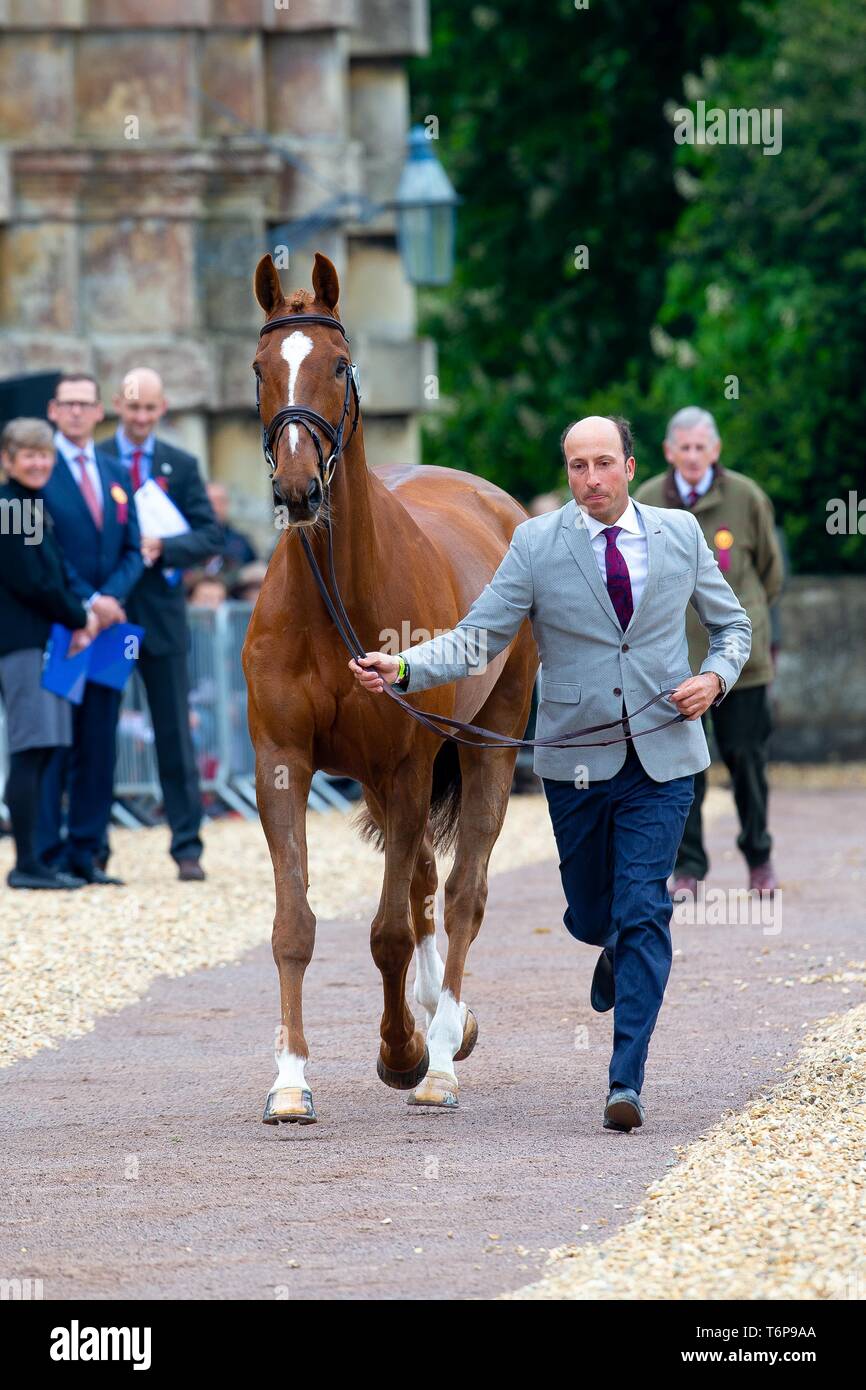 Badminton, Gloucestershire, UK. 02Maggio, 2019. Tim prezzo. NZL. Bango. Di trotto. Mitsubishi Motors Badminton Horse Trials. Rolex Grand Slam evento. Horse Trials. Eventing. Badminton. Gloucestershire. Regno Unito. GBR. {01}/{05}/{2019}. Credito: Sport In immagini/Alamy Live News Foto Stock