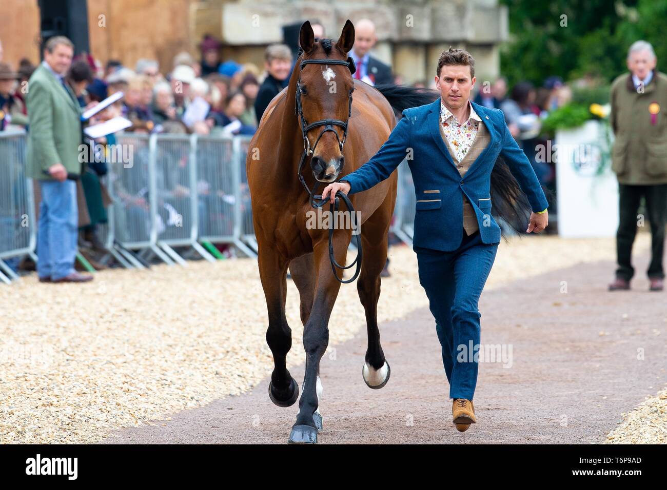 Badminton, Gloucestershire, UK. 02Maggio, 2019. Tom croccante. GBR. Coolys lusso. Di trotto. Mitsubishi Motors Badminton Horse Trials. Rolex Grand Slam evento. Horse Trials. Eventing. Badminton. Gloucestershire. Regno Unito. GBR. {01}/{05}/{2019}. Credito: Sport In immagini/Alamy Live News Foto Stock