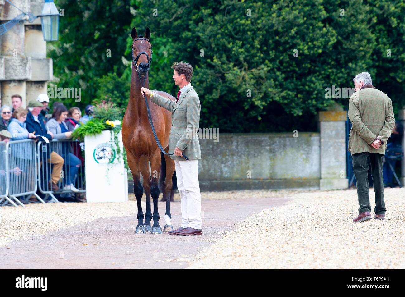 Badminton, Gloucestershire, UK. 02Maggio, 2019. William Fox-Pitt. GBR. Piccolo incendio. Di trotto. Mitsubishi Motors Badminton Horse Trials. Rolex Grand Slam evento. Horse Trials. Eventing. Badminton. Gloucestershire. Regno Unito. GBR. {01}/{05}/{2019}. Credito: Sport In immagini/Alamy Live News Foto Stock