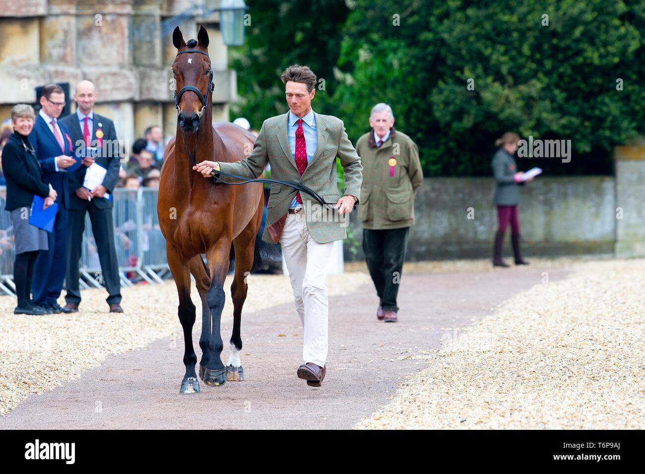 Badminton, Gloucestershire, UK. 02Maggio, 2019. William Fox-Pitt. GBR. Piccolo incendio. Di trotto. Mitsubishi Motors Badminton Horse Trials. Rolex Grand Slam evento. Horse Trials. Eventing. Badminton. Gloucestershire. Regno Unito. GBR. {01}/{05}/{2019}. Credito: Sport In immagini/Alamy Live News Foto Stock