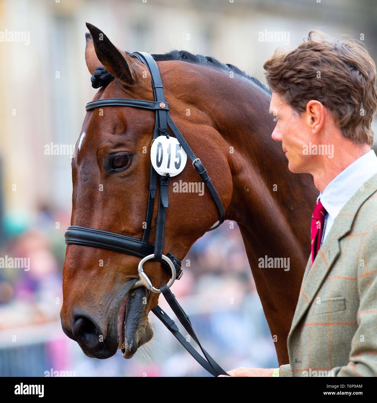 Badminton, Gloucestershire, UK. 02Maggio, 2019. William Fox-Pitt. GBR. Piccolo incendio. Di trotto. Mitsubishi Motors Badminton Horse Trials. Rolex Grand Slam evento. Horse Trials. Eventing. Badminton. Gloucestershire. Regno Unito. GBR. {01}/{05}/{2019}. Credito: Sport In immagini/Alamy Live News Foto Stock