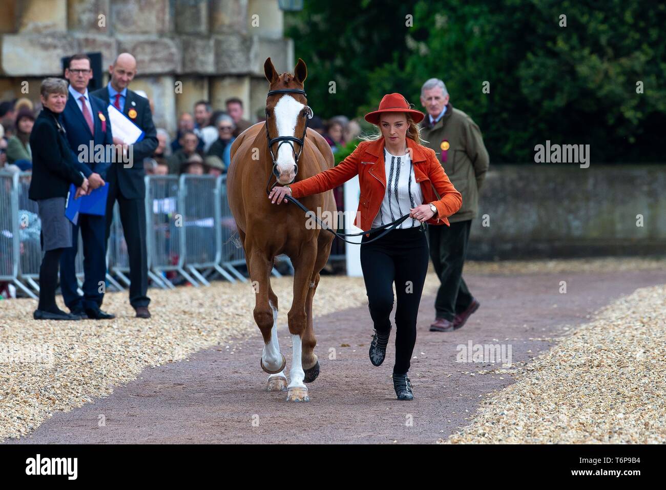 Badminton, Gloucestershire, UK. 02Maggio, 2019. Emily Re. GBR. Dargun. Di trotto. Mitsubishi Motors Badminton Horse Trials. Rolex Grand Slam evento. Horse Trials. Eventing. Badminton. Gloucestershire. Regno Unito. GBR. {01}/{05}/{2019}. Credito: Sport In immagini/Alamy Live News Foto Stock