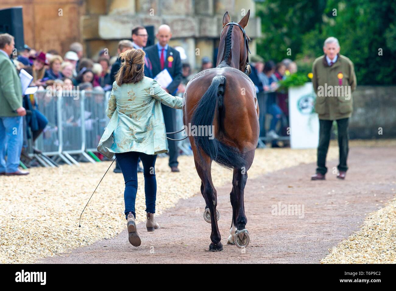 Badminton, Gloucestershire, UK. 02Maggio, 2019. Piggy francese. GBR. Kamira Vanir. Di trotto. Mitsubishi Motors Badminton Horse Trials. Rolex Grand Slam evento. Horse Trials. Eventing. Badminton. Gloucestershire. Regno Unito. GBR. {01}/{05}/{2019}. Credito: Sport In immagini/Alamy Live News Foto Stock