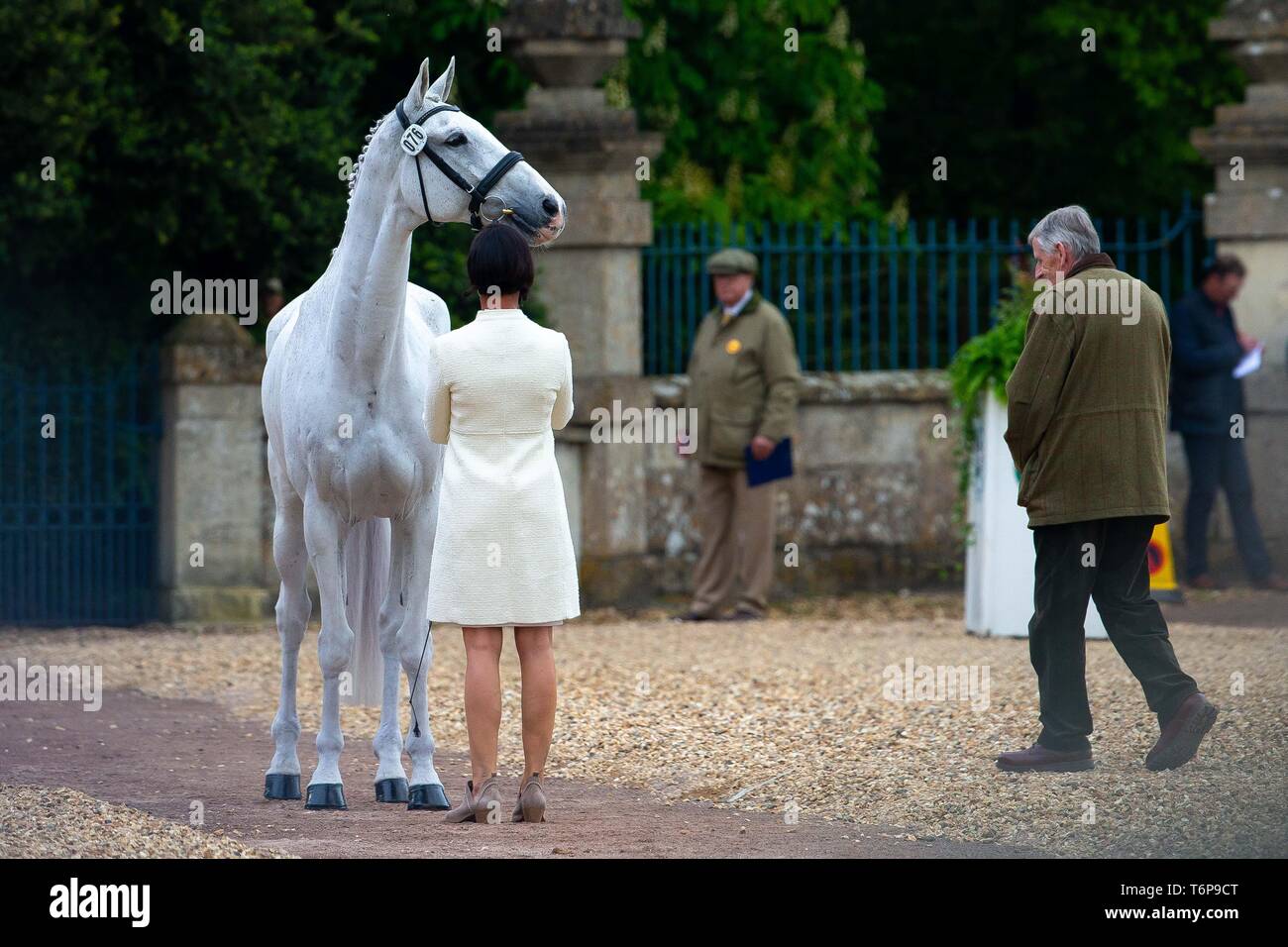 Badminton, Gloucestershire, UK. 02Maggio, 2019. Tamra Smith. Stati Uniti d'America. Wembley. Di trotto. Mitsubishi Motors Badminton Horse Trials. Rolex Grand Slam evento. Horse Trials. Eventing. Badminton. Gloucestershire. Regno Unito. GBR. {01}/{05}/{2019}. Credito: Sport In immagini/Alamy Live News Foto Stock