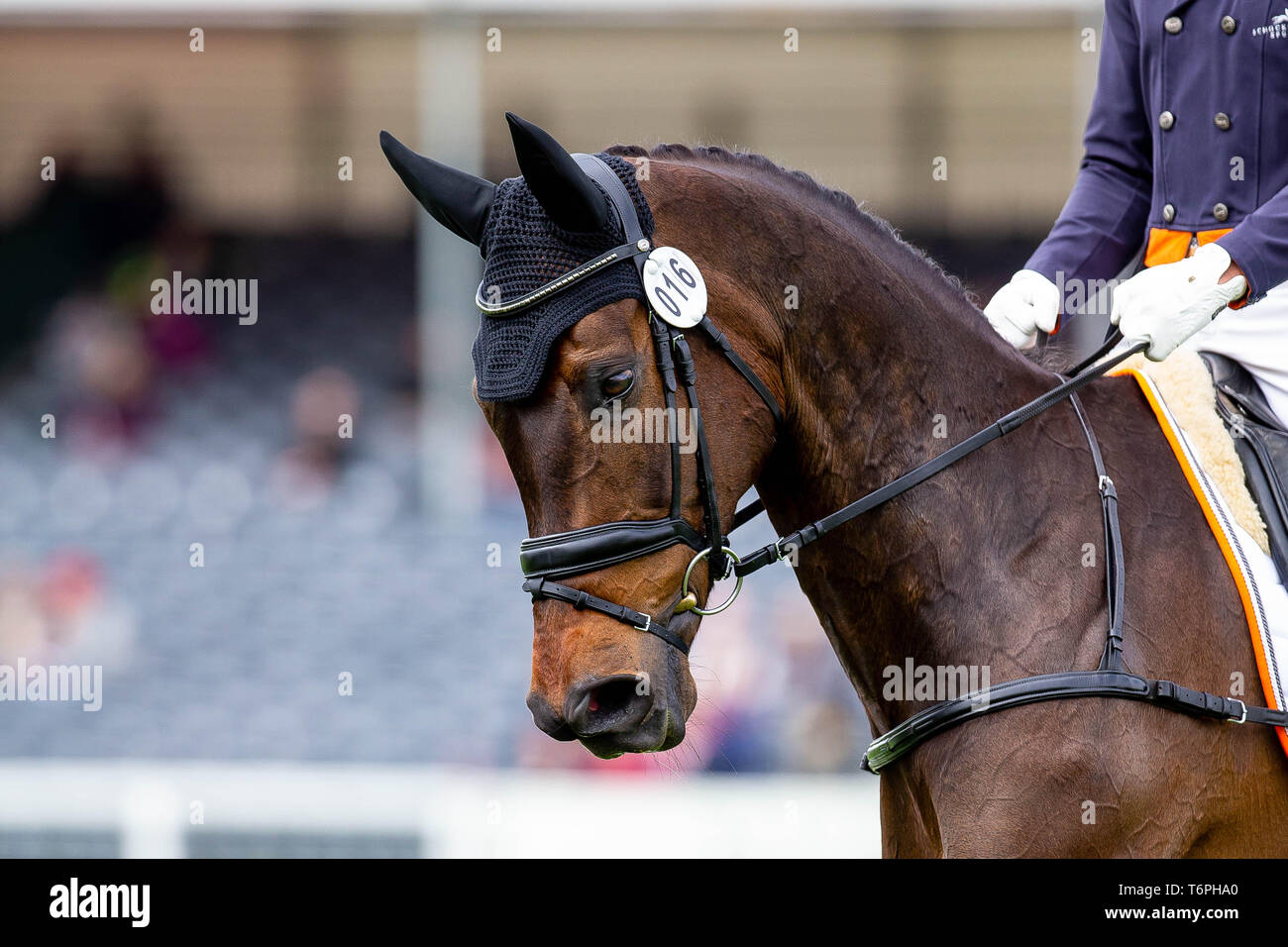 Badminton, UK. Il 2 maggio 2019. Christopher Burton. AUS. Graf Liberty. Punteggio ottenuto 27.7. Dressage. Mitsubishi Motors Badminton Horse Trials. Rolex Grand Slam evento. Horse Trials. Eventing. Badminton. Gloucestershire. Regno Unito. GBR. 02/05/2019. Credito: Sport In immagini/Alamy Live News Foto Stock
