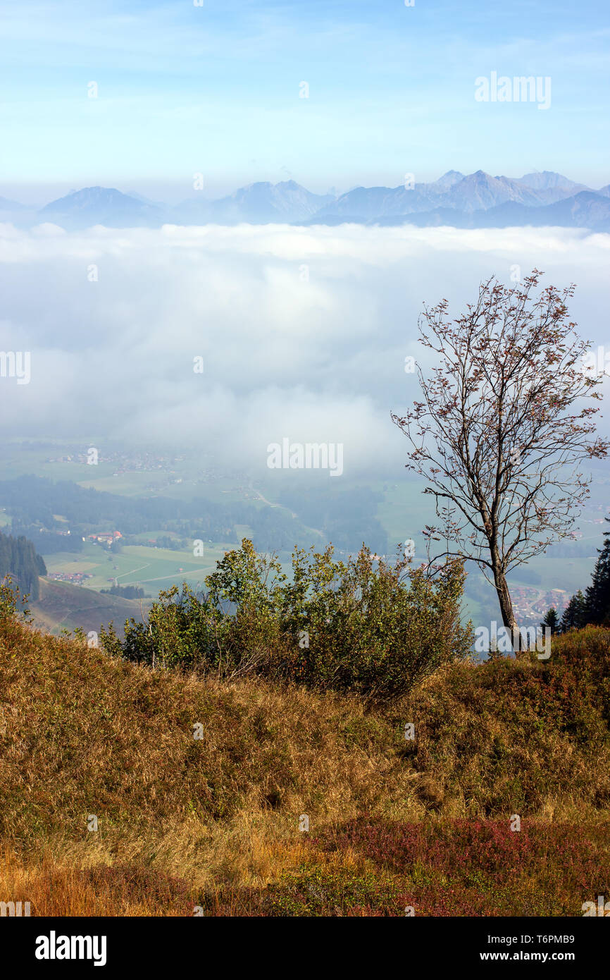 Paesaggio bavarese 013. Germania Foto Stock