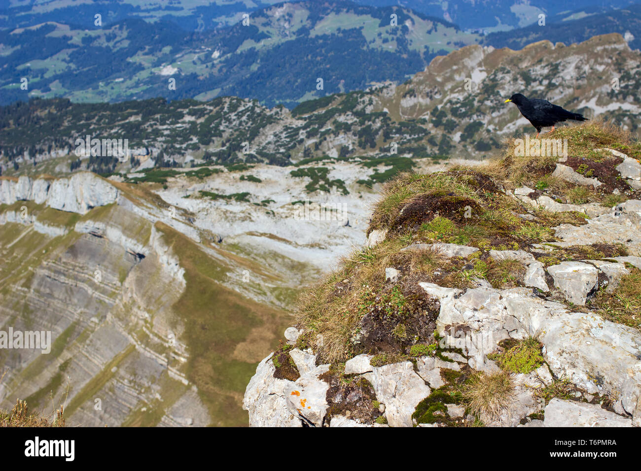 Paesaggio bavarese 021. Germania Foto Stock