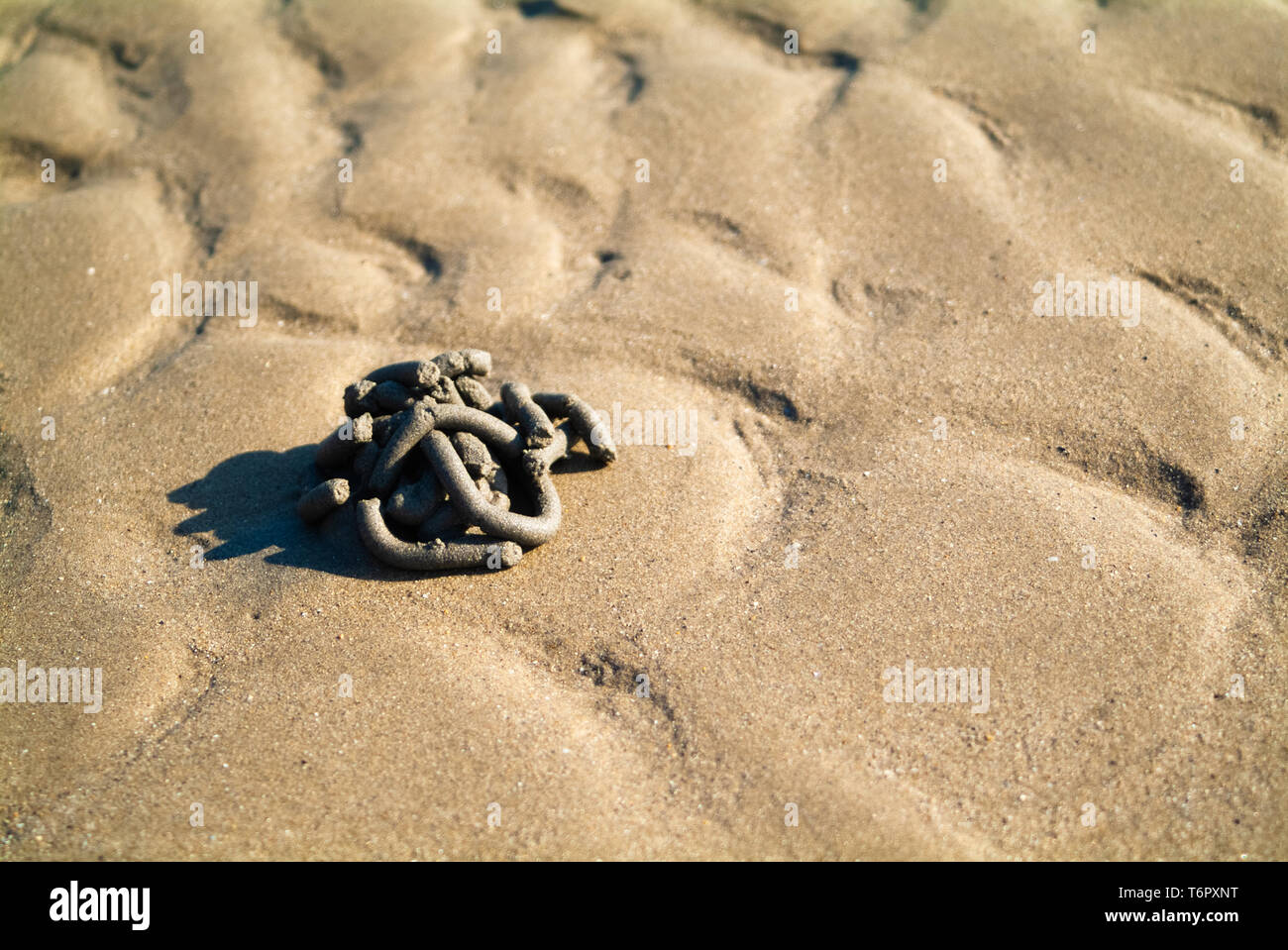 Groviglio geometrico sul secco di spiaggia di sabbia Foto Stock