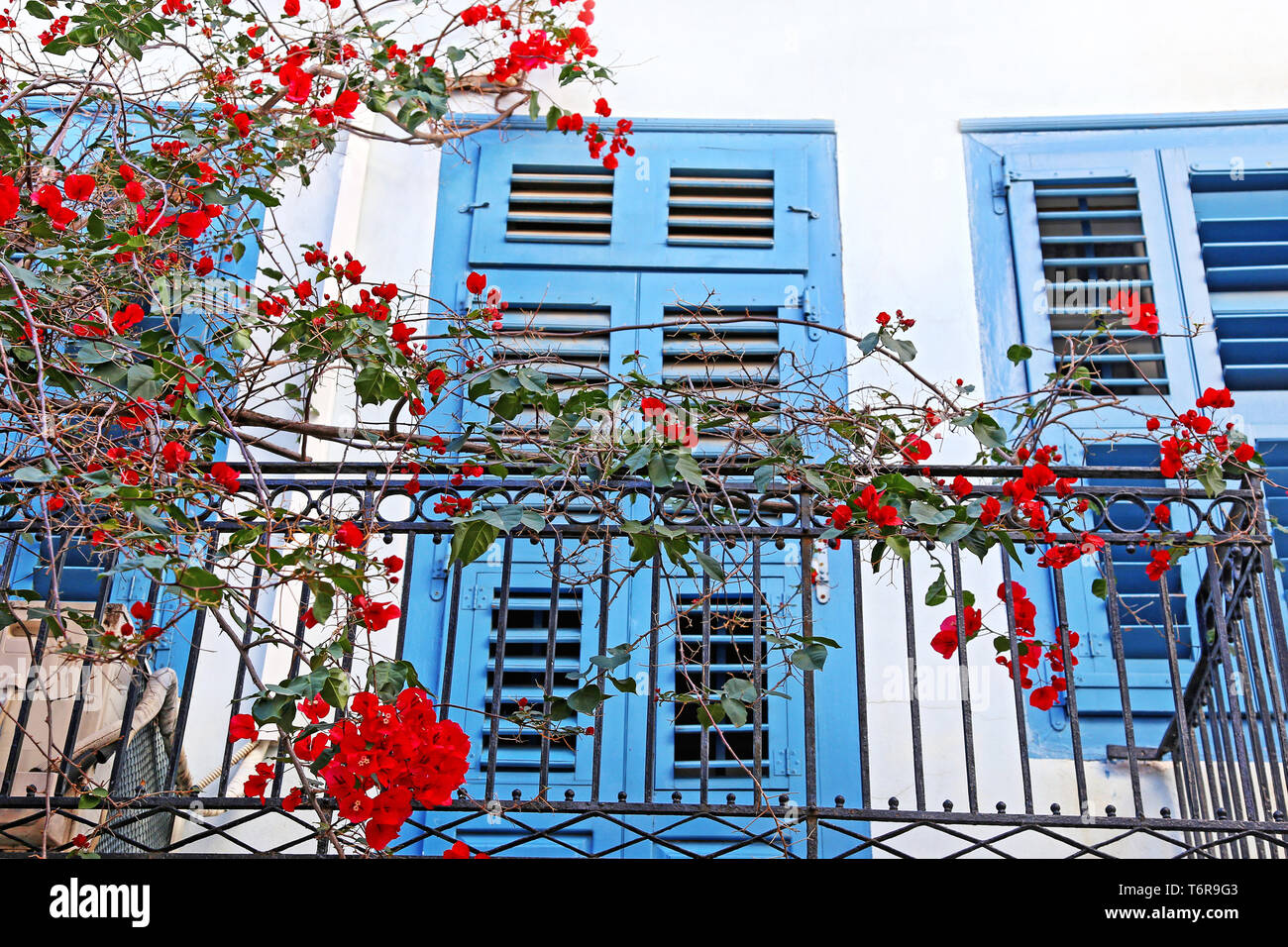 Tradizionale di windows con fiori di bouganville a Nafplio Argolis Grecia Foto Stock