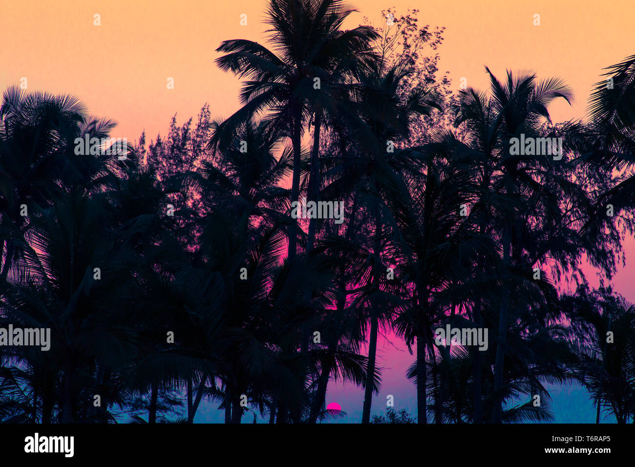 Tramonto su palme in una posizione tropicale Foto Stock