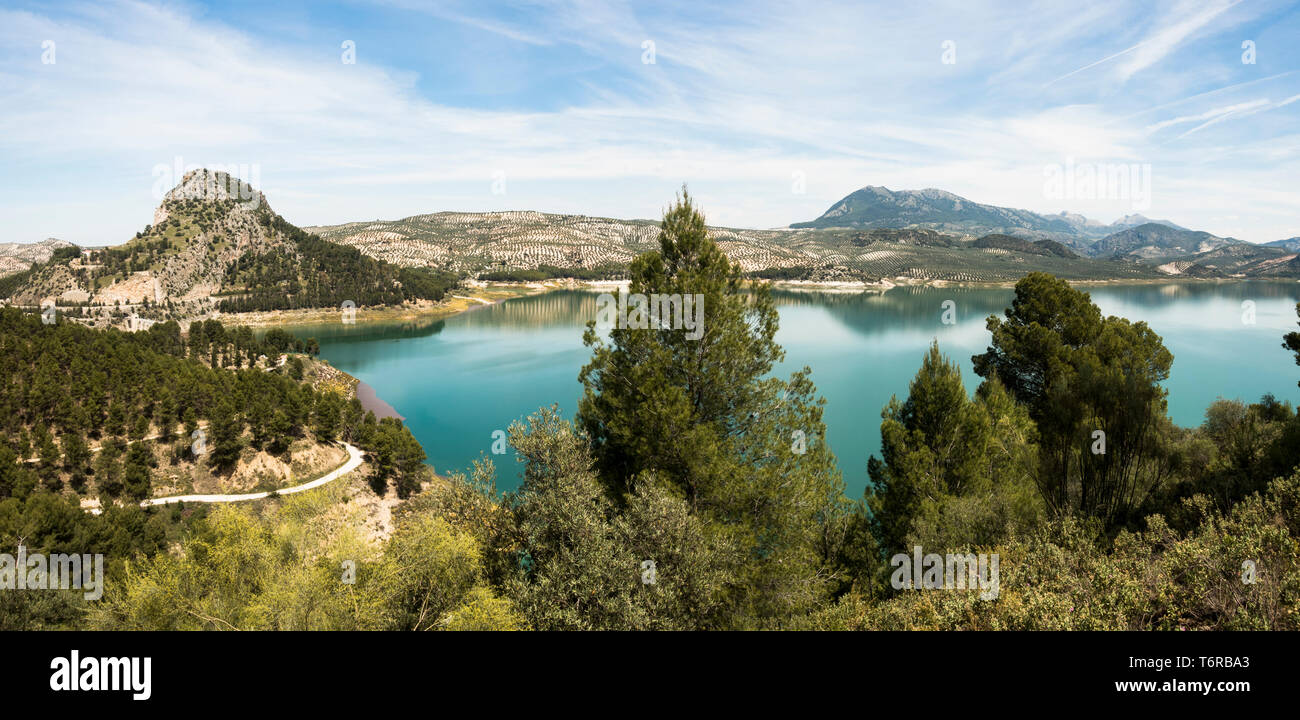 Embalse de Iznájar, Iznajar lago circondato da uliveti e boschi di pini, in provincia di Cordoba, Andalusia. Foto Stock