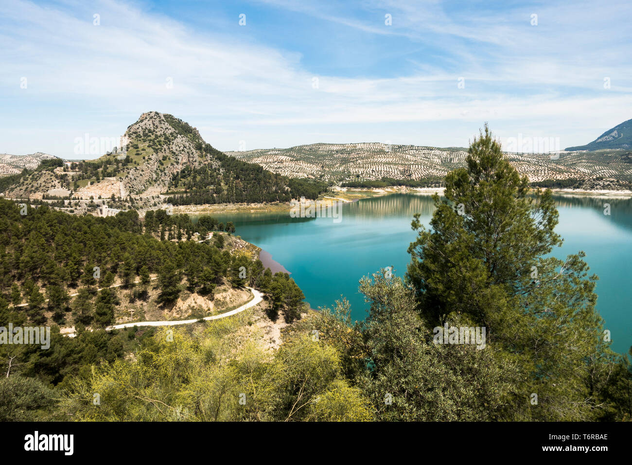 Embalse de Iznájar, Iznajar lago circondato da uliveti e boschi di pini, in provincia di Cordoba, Andalusia. Foto Stock