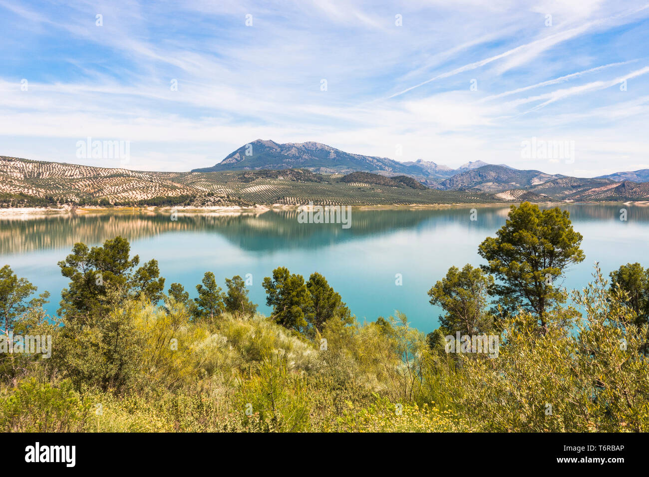 Embalse de Iznájar, Iznajar lago circondato da uliveti e boschi di pini, in provincia di Cordoba, Andalusia. Foto Stock