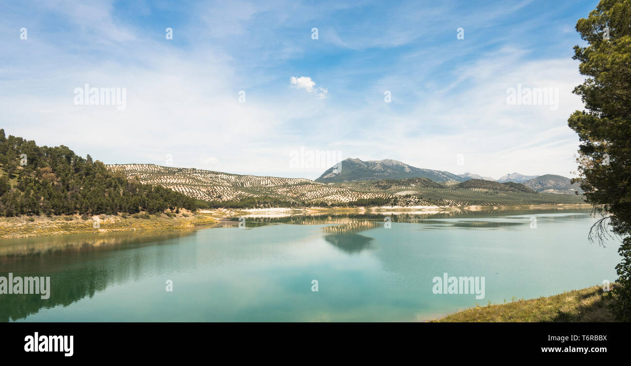 Embalse de Iznájar, Iznajar lago circondato da uliveti e boschi di pini, in provincia di Cordoba, Andalusia. Foto Stock