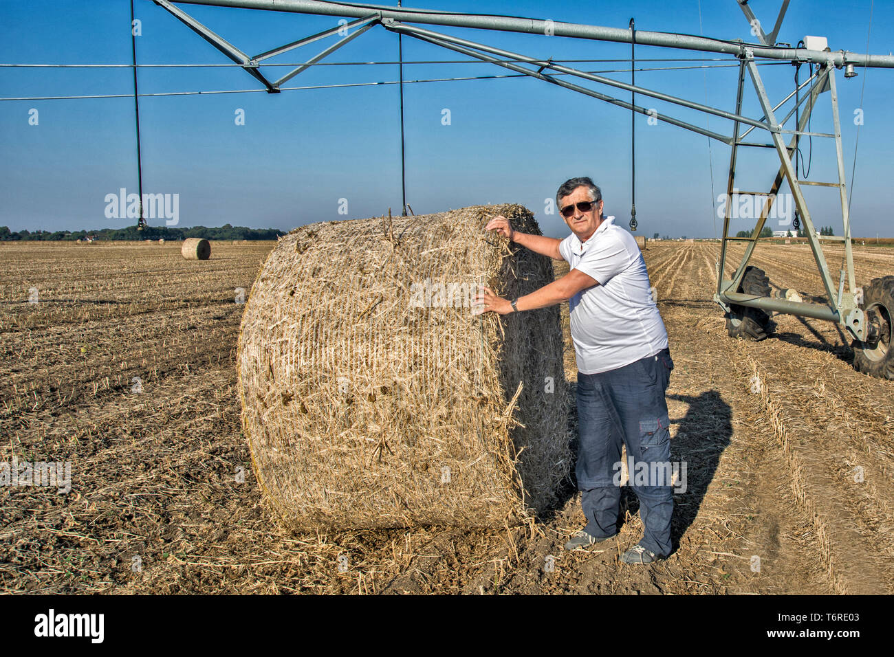 L'agronomo sorge accanto al round di balle di paglia circondate da il sole autunnale. Foto Stock