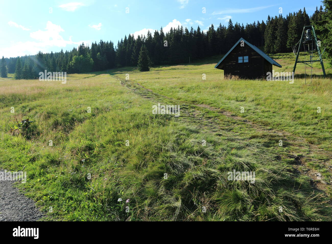 Verde prato con capanna e una foresta di giorno Foto Stock