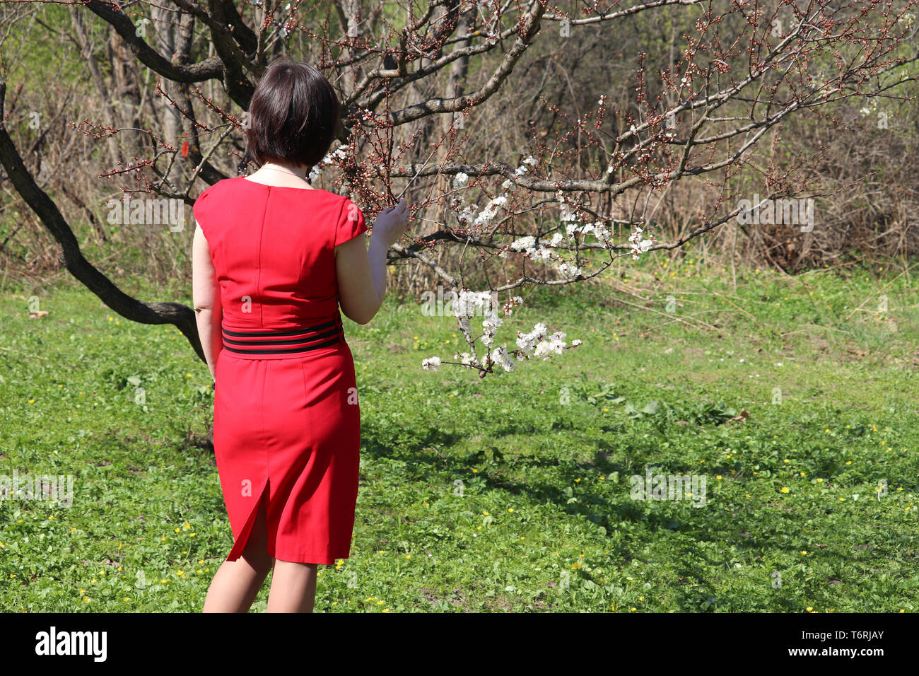 Ragazza in abito rosso gode la molla in piedi vicino al sakura tree. La fioritura dei ciliegi nel giardino soleggiato Foto Stock