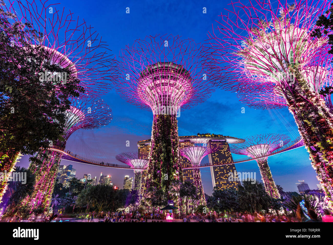 Il Super alberi in giardini dalla Baia di Singapore. Foto Stock