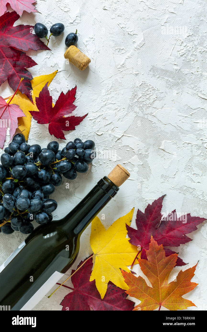 Bottiglia di vino rosso e uva nera. Foto Stock