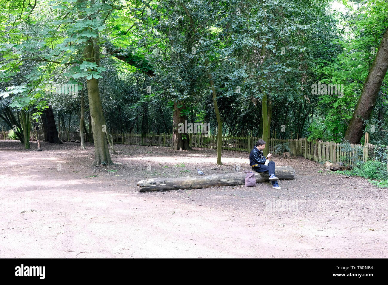 Un giovane uomo rilassante in Holland Park, Londn, REGNO UNITO Foto Stock