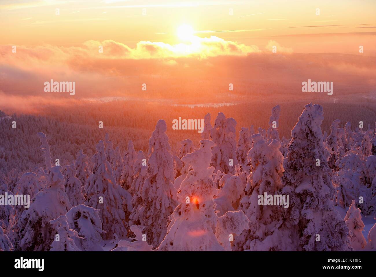 La vista dal monte Brocken in un paesaggio invernale profondamente ricoperta di neve, Tramonto, Sassonia-Anhalt, Germania Foto Stock