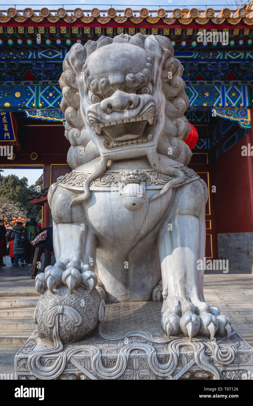 Maschio Guradian lion statua che si trova nella parte anteriore di ingresso al Parco Jingshan a Pechino in Cina Foto Stock Maschio Guradian lion statua che si trova nella parte anteriore di ingresso al Parco Jingshan a Pechino in Cina Foto Stock