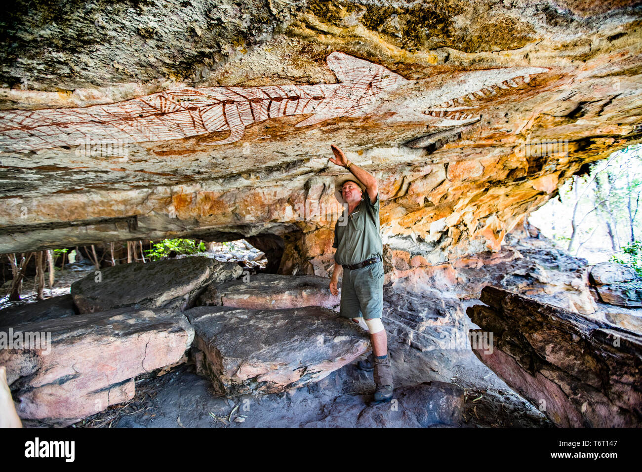 Sab Lord indica una pittura rupestre di un pesce in stile a raggi X sotto una sporgenza vicino al Monte Borradaile, Territorio del Nord, Australia. Foto Stock