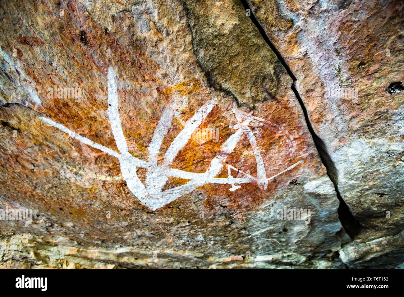 Un dipinto rupestre astratto in ocra bianca mostra forme lineari ramificate sul soffitto di una grotta vicino al Monte Borradaile, Territorio del Nord, Australia. Foto Stock