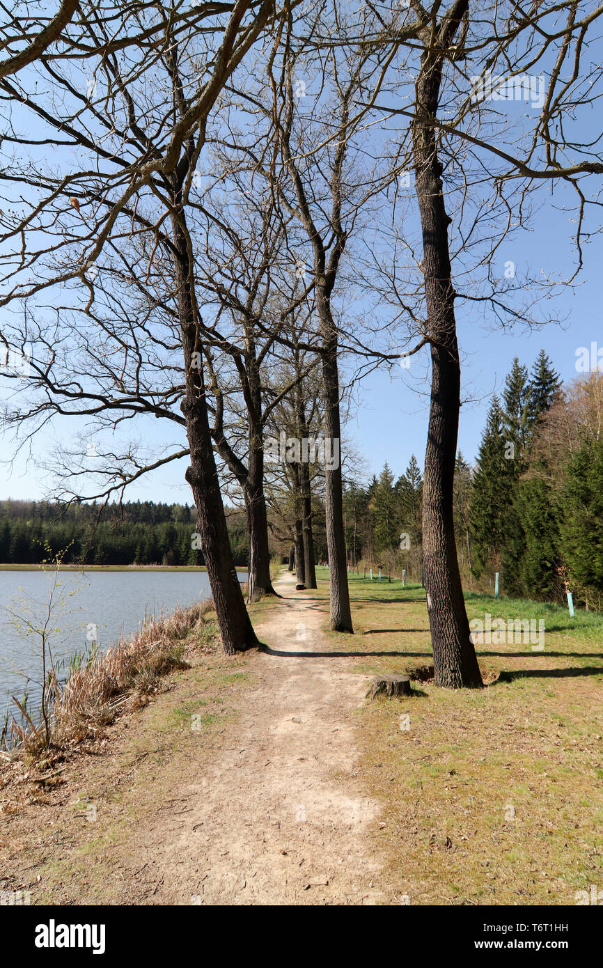 Stretto sentiero sullo stagno dike Foto Stock