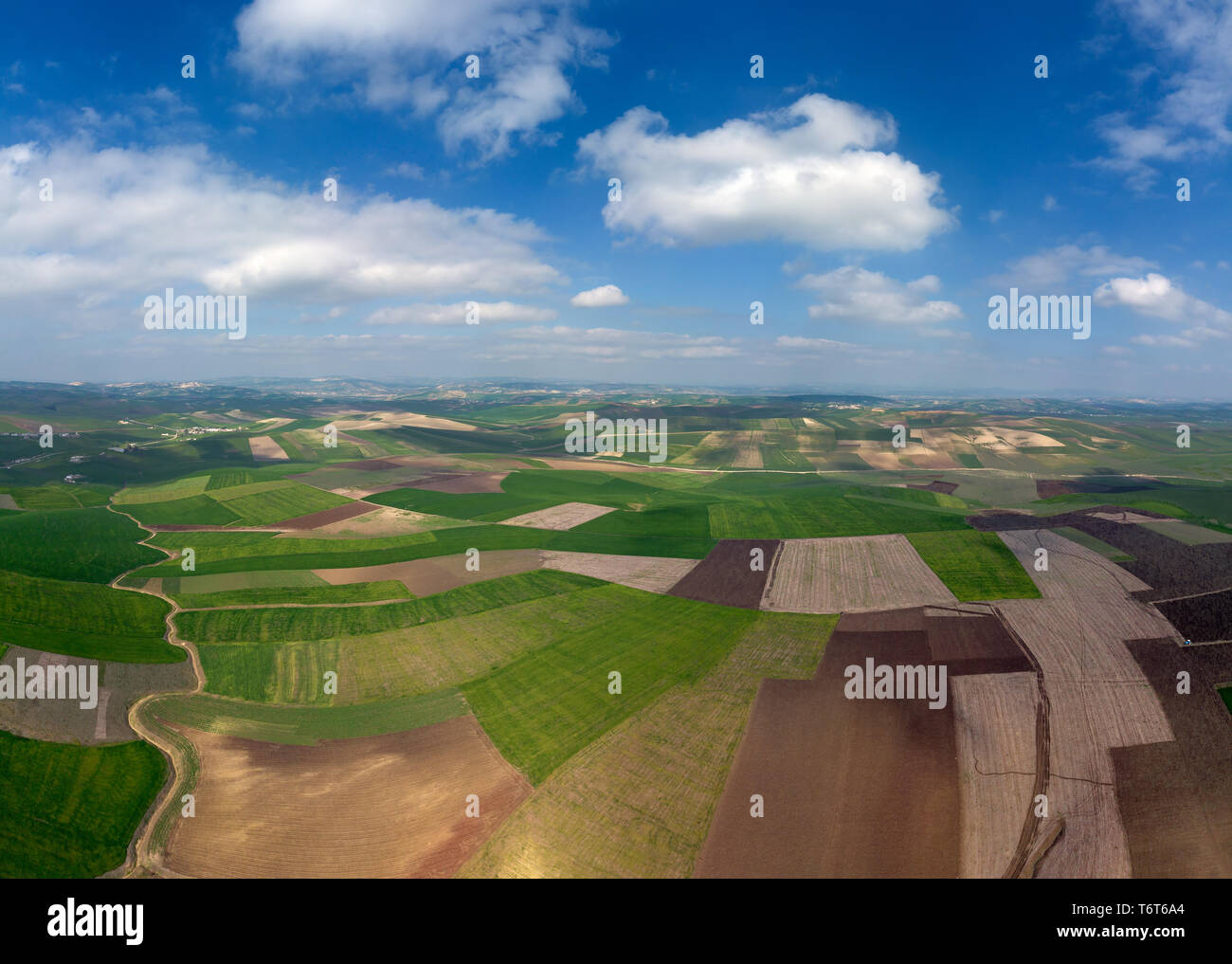 Vista aerea della zona collinare di campi agricoli Foto Stock