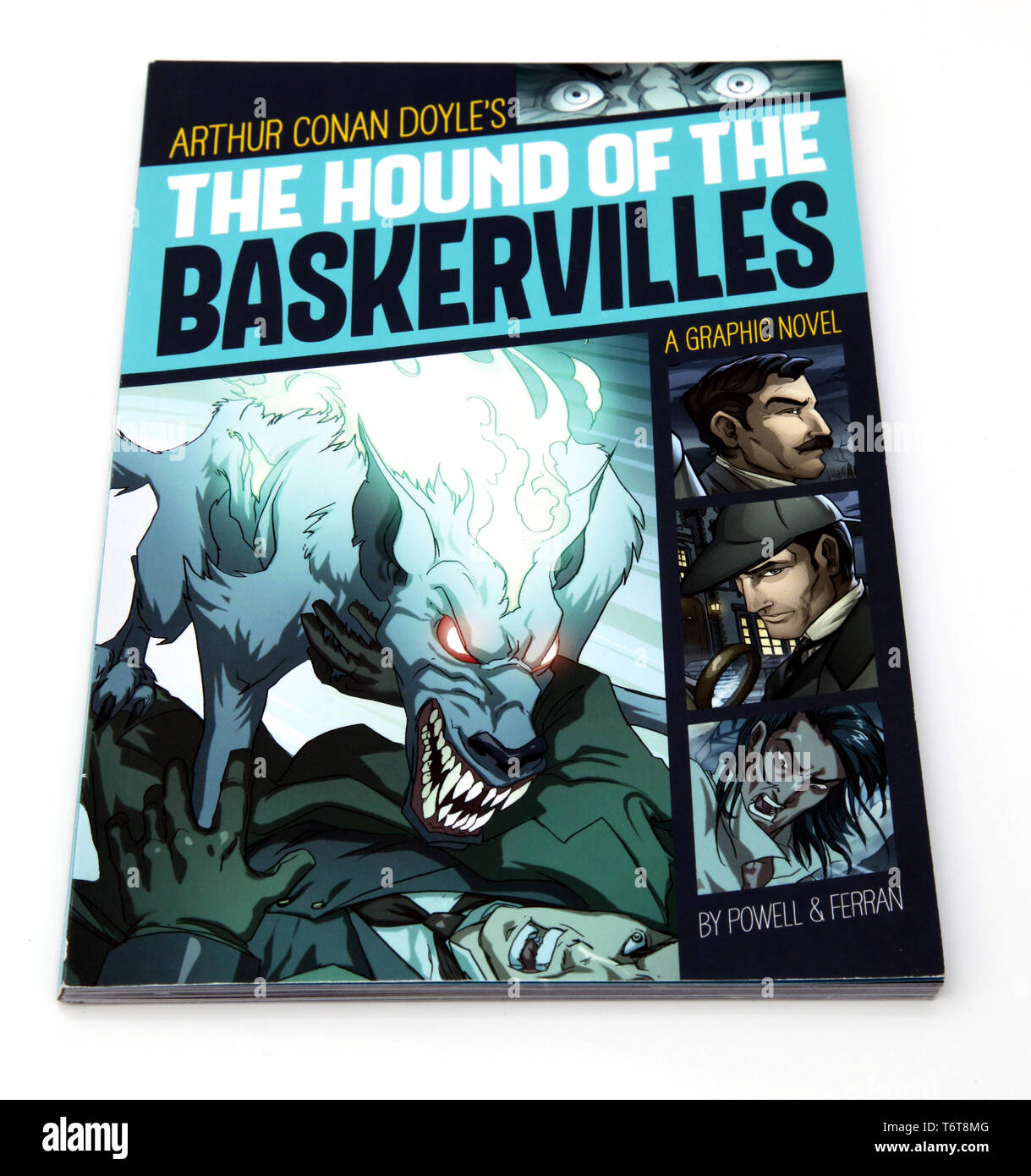 Arthur Conan Doyle's Hound del Baskervilles, Sherlock Holmes Graphic Novel Capstone edition 2014 Foto Stock