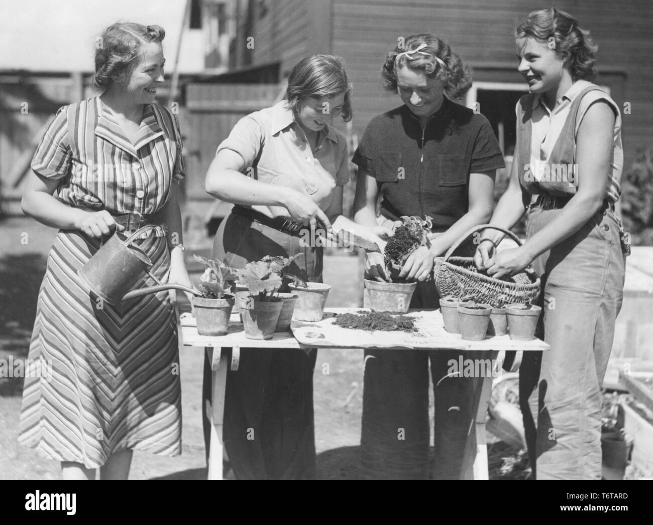 Il giardinaggio nel 1940s. Quattro donne con piante e vasi da fiori. La Svezia 1940s Foto Stock