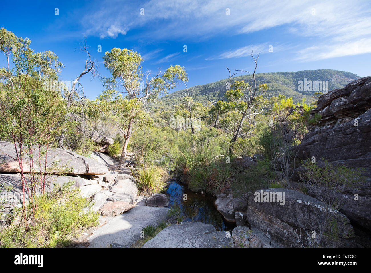 Il famoso Grampians Grand Canyon. Accessibile in Wonderland escursione alla Pinnacle Lookout vicino a Halls Gap in Victoria, Australia Foto Stock