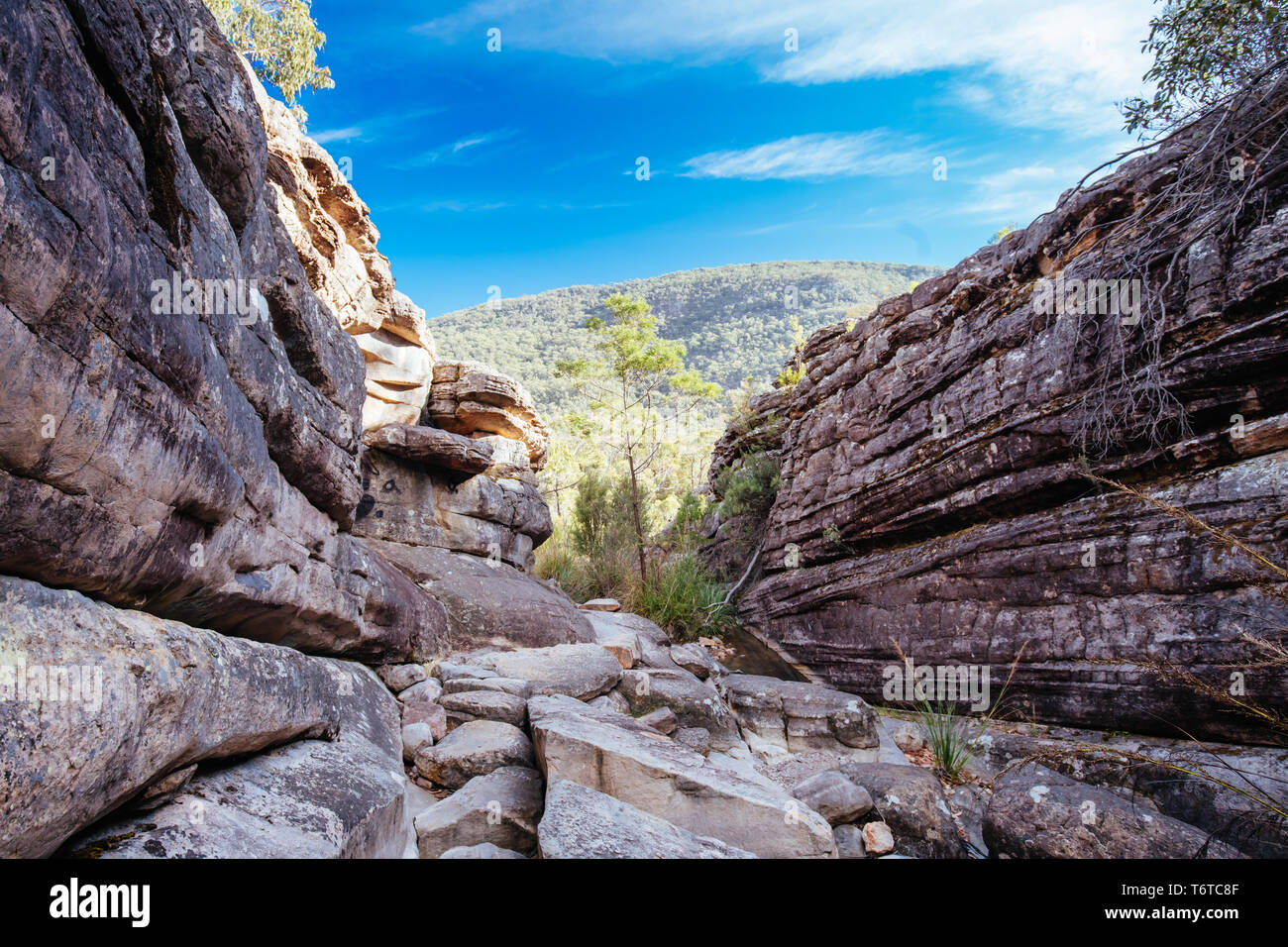 Il famoso Grampians Grand Canyon. Accessibile in Wonderland escursione alla Pinnacle Lookout vicino a Halls Gap in Victoria, Australia Foto Stock