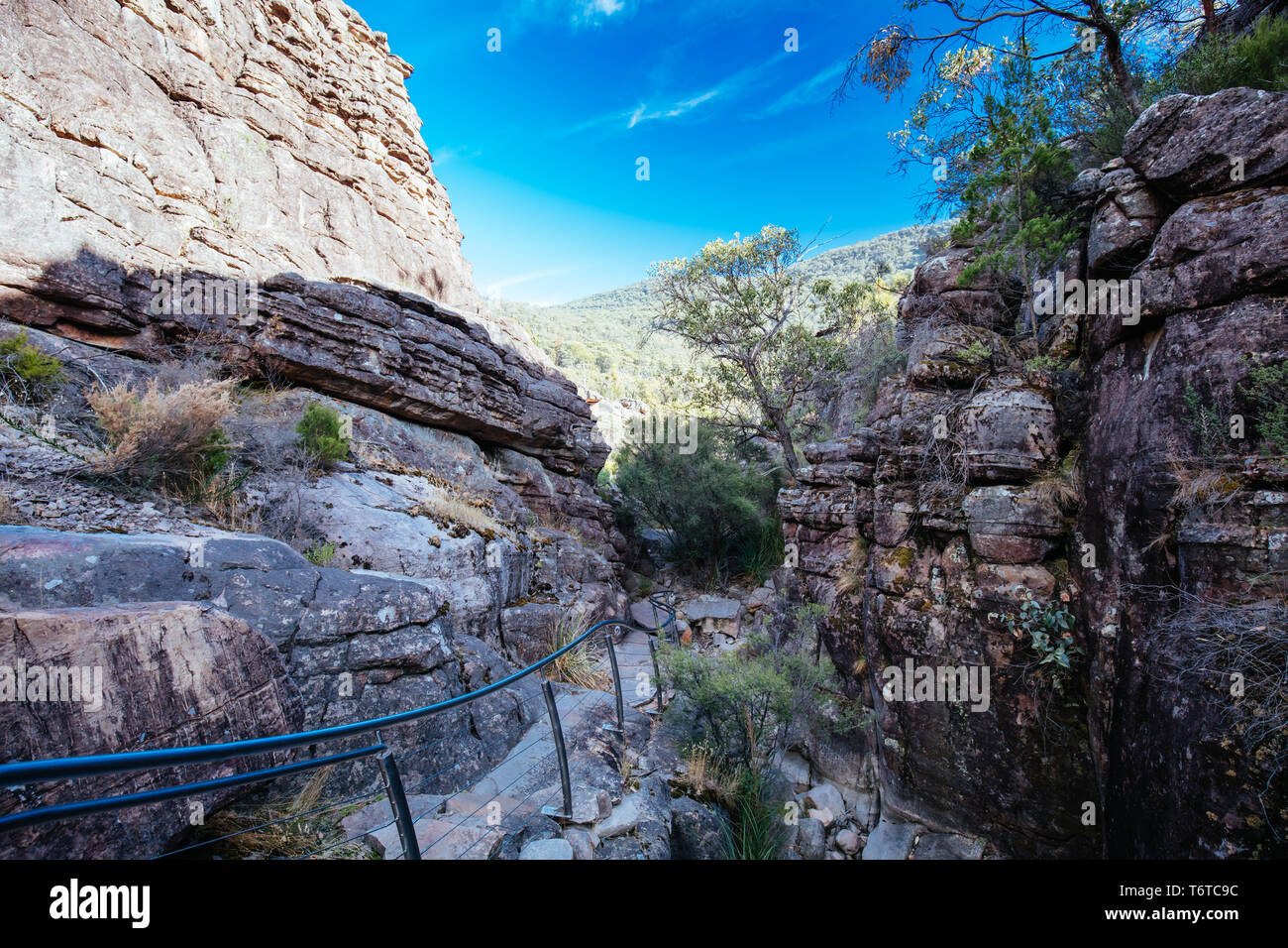 Il famoso Grampians Grand Canyon. Accessibile in Wonderland escursione alla Pinnacle Lookout vicino a Halls Gap in Victoria, Australia Foto Stock