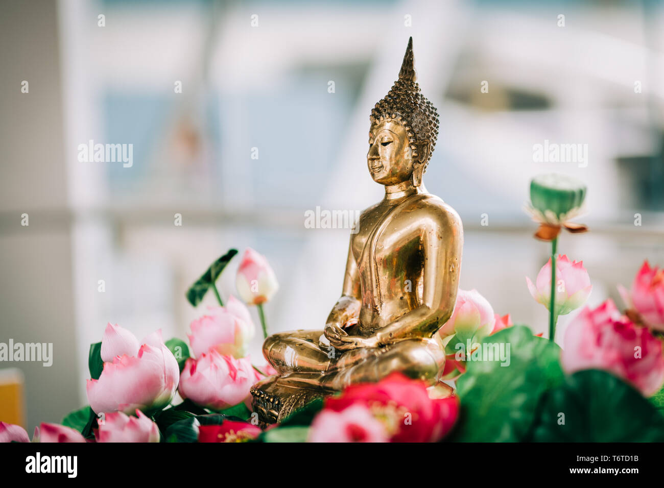 buddha fiore songkran Foto Stock