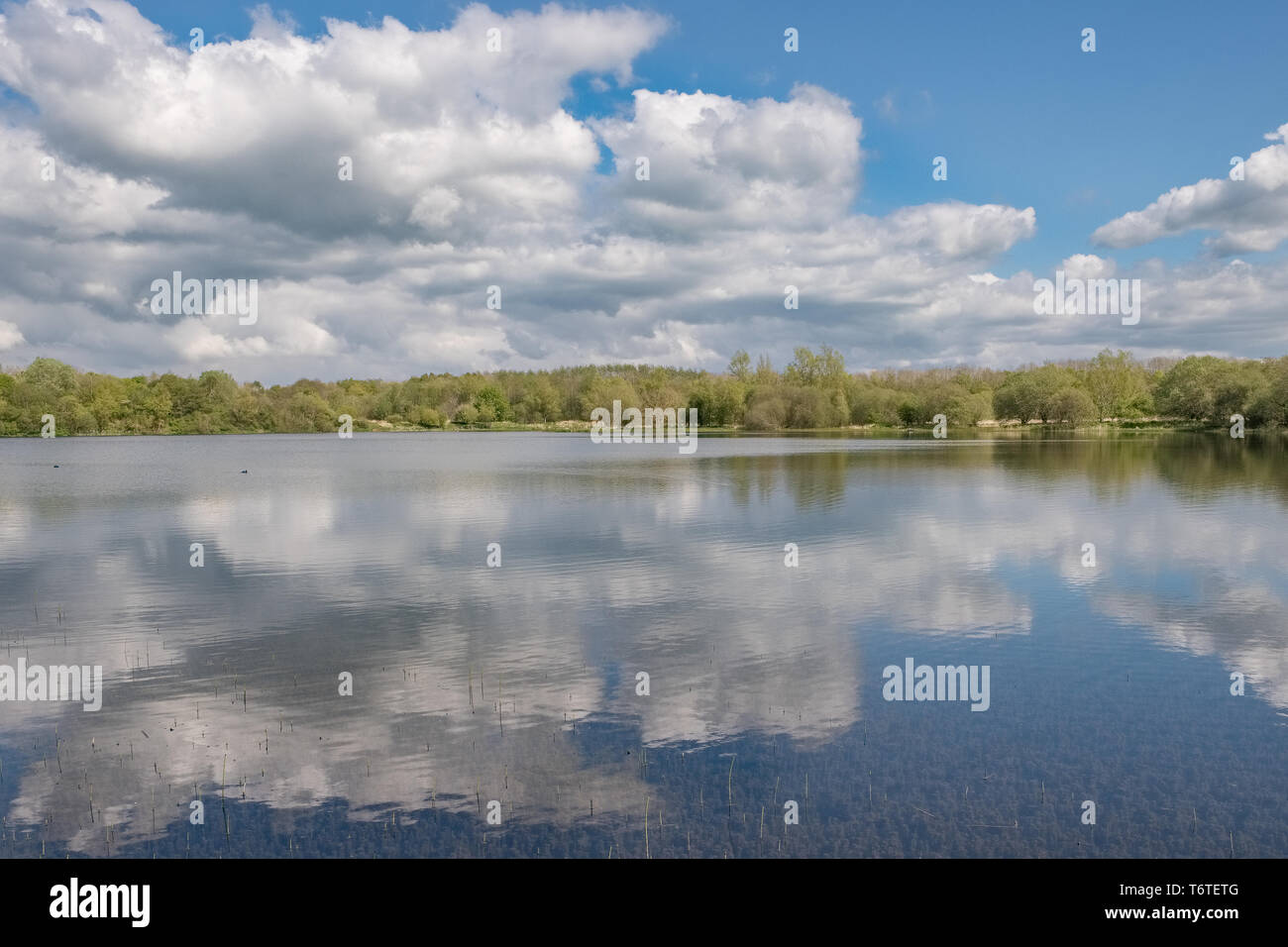 Eglinton loch all'inizio della stagione estiva con belle riflessioni dal cielo la ferme acque del Loch. Foto Stock