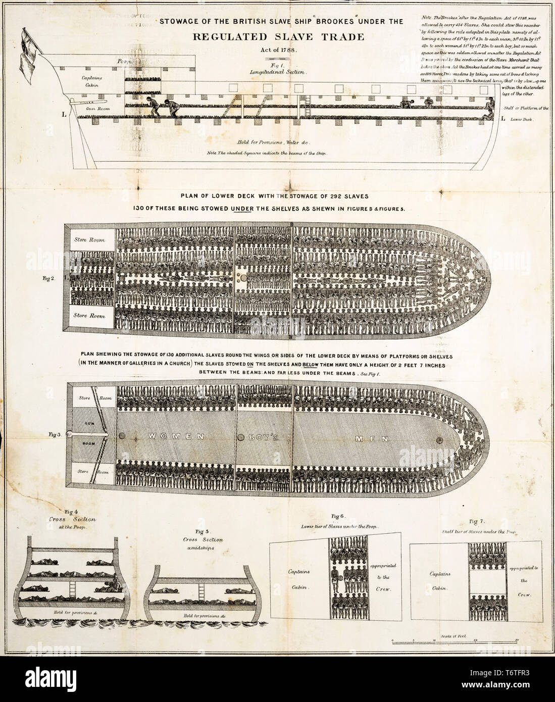 Lo stivaggio di schiavi schema di British nave di schiavi Brookes sotto la regolata Slave Trade Act del 1788, 1788 Foto Stock