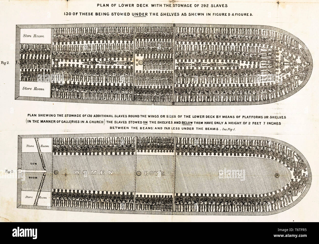 Lo stivaggio di schiavi schema di British nave di schiavi Brookes sotto la schiavitù regolamentata Slave Trade Act del 1788, 1788 Foto Stock